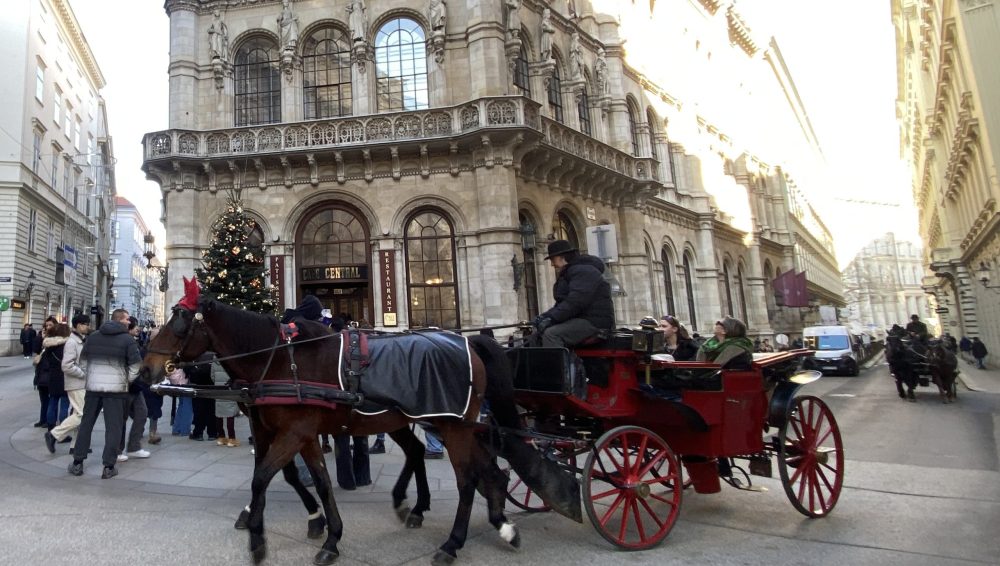 Viena: en carruaje, por supuesto