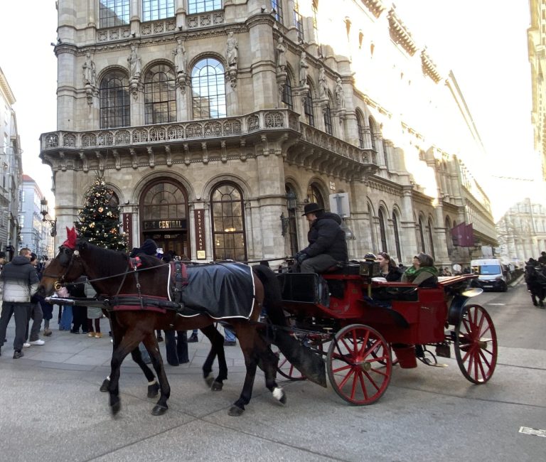 Viena: en carruaje, por supuesto